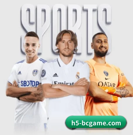 每个板块围绕一个运动项目展开 - 多运动项目内容板块（b sports）